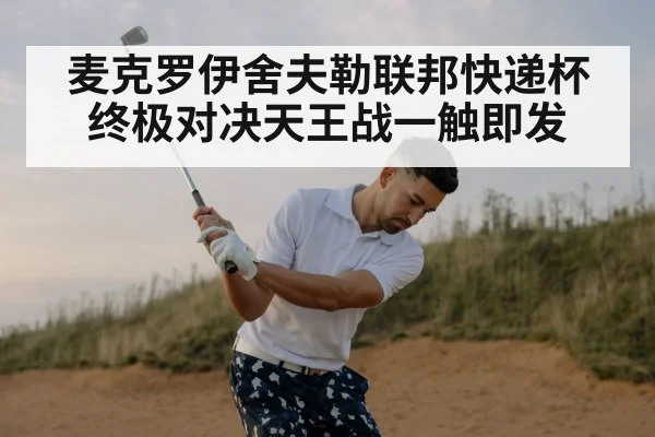 麦克罗伊舍夫勒联邦快递杯终极对决天王战一触即发
